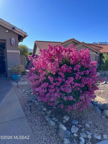 37923 S Cypress Court, Tucson, AZ 85739