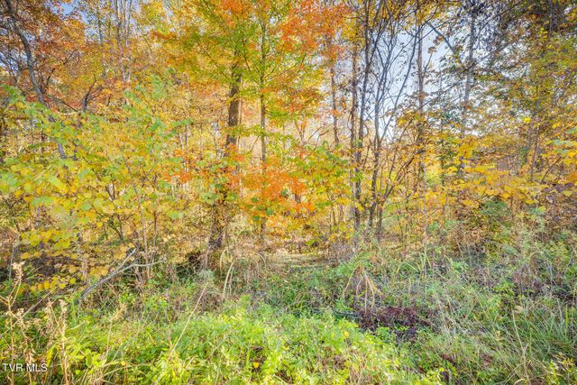 Tbd Old Jonesborough Road, Jonesborough, TN 37659