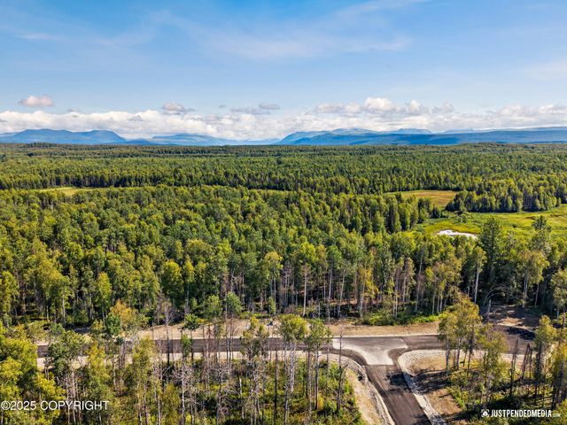 45269 S Upwind Circle, Willow, AK 99688