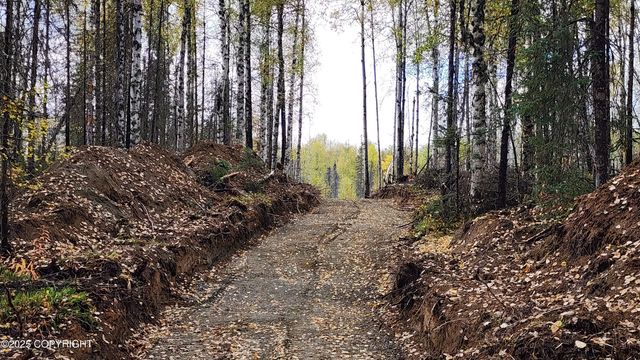 45269 S Upwind Circle, Willow, AK 99688