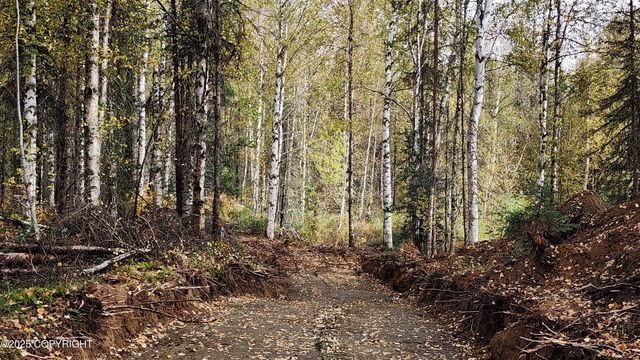 45269 S Upwind Circle, Willow, AK 99688