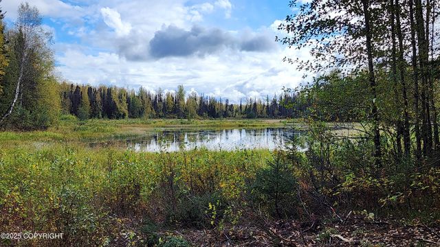 45269 S Upwind Circle, Willow, AK 99688