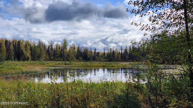 45269 S Upwind Circle, Willow, AK 99688