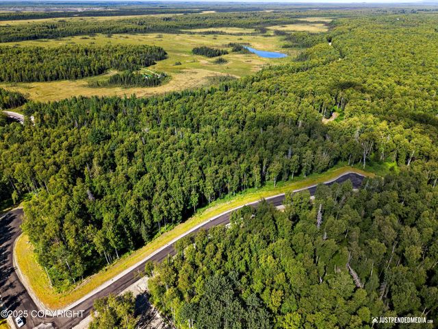 45269 S Upwind Circle, Willow, AK 99688