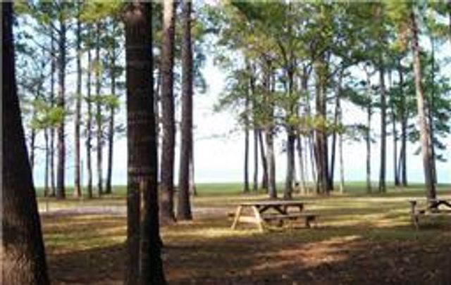 178 & 182 Twinstone Circle, Coldspring, TX 77331