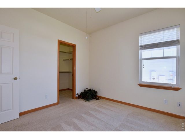 1047 Canal Dr, Windsor, CO 80550