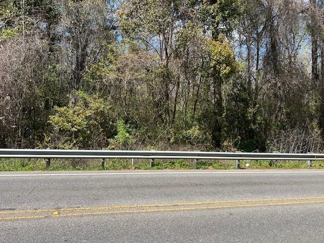 0 Old Pascagoula Road, Theodore, AL 36582