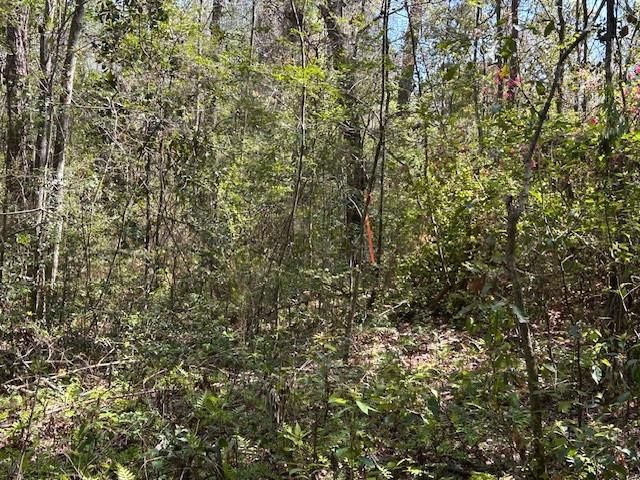 0 Old Pascagoula Road, Theodore, AL 36582