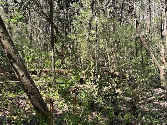 0 Old Pascagoula Road, Theodore, AL 36582