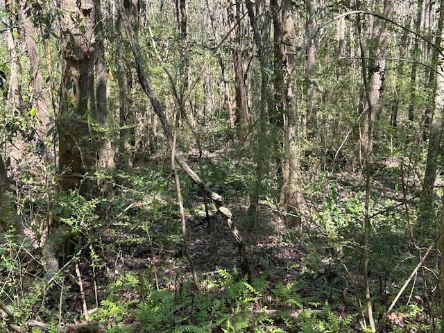 0 Old Pascagoula Road, Theodore, AL 36582