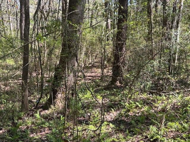 0 Old Pascagoula Road, Theodore, AL 36582