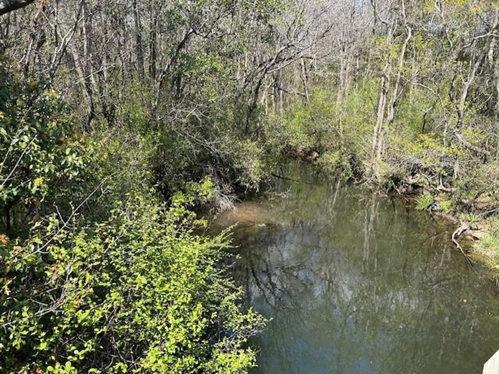 0 Old Pascagoula Road, Theodore, AL 36582 — photo 2