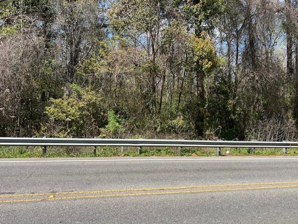 0 Old Pascagoula Road, Theodore, AL 36582 — photo 4