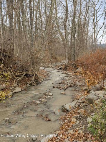 169 Mattice Road, Prattsville, NY 12468