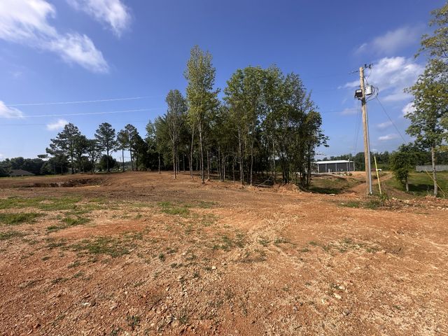 300 Maxwell Hill Rd, Pulaski, TN 38478