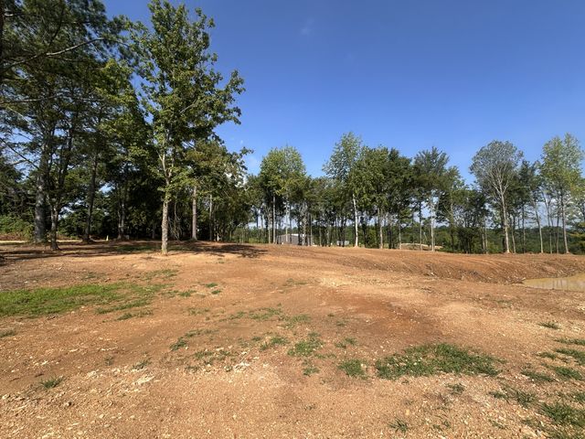 300 Maxwell Hill Rd, Pulaski, TN 38478