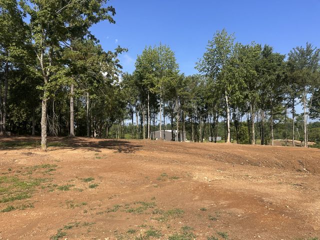 300 Maxwell Hill Rd, Pulaski, TN 38478