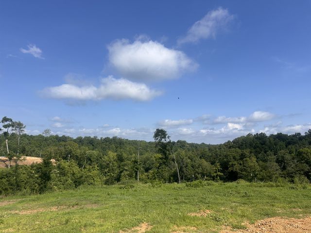 300 Maxwell Hill Rd, Pulaski, TN 38478