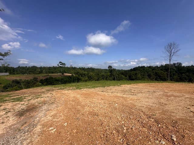 300 Maxwell Hill Rd, Pulaski, TN 38478