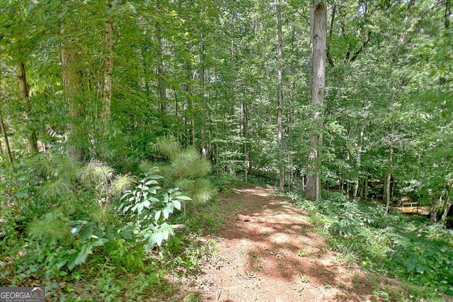 460 Morgan Mill Road, Brooks, GA 30205