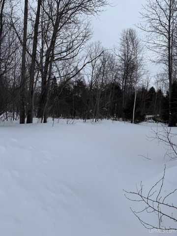 2121 Jasberg Street, Hancock, MI 49930