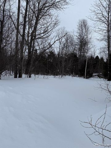 2121 Jasberg Street, Hancock, MI 49930