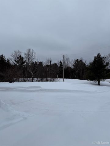 2121 Jasberg Street, Hancock, MI 49930