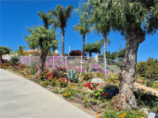 37305 Calle De Lobo, Murrieta, CA 92562