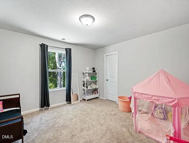 336 Rustling Way, Zebulon, NC 27597