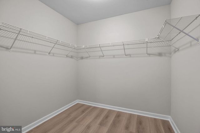 271 STOOPVILLE RD, Newtown, PA 18940