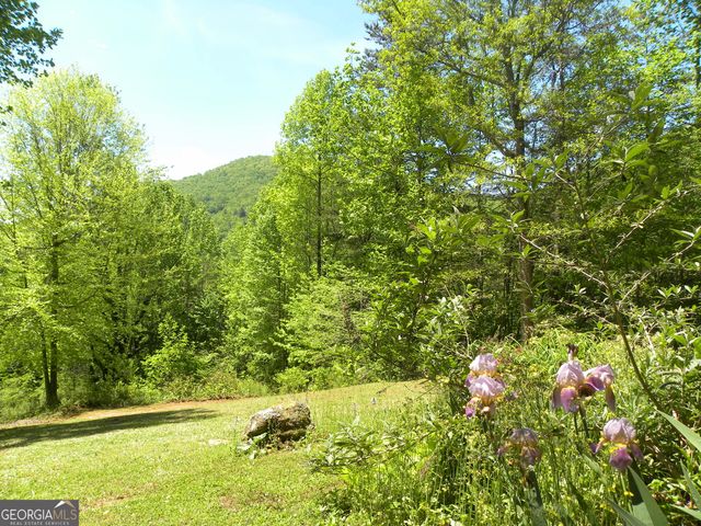 153 Will Zoellner Lane, Mountain City, GA 30525