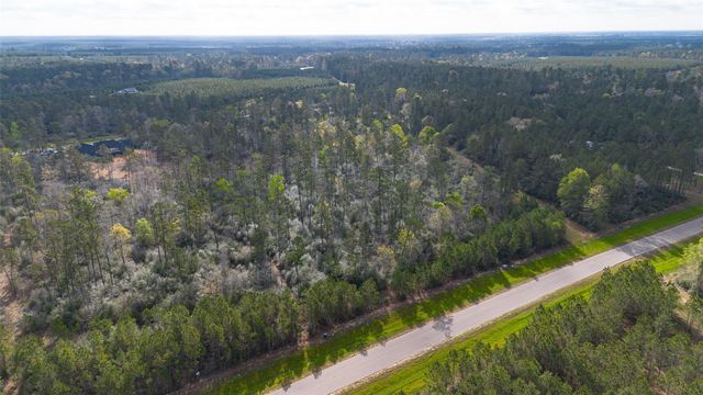 15982 Wood Grove Way, Willis, TX 77378