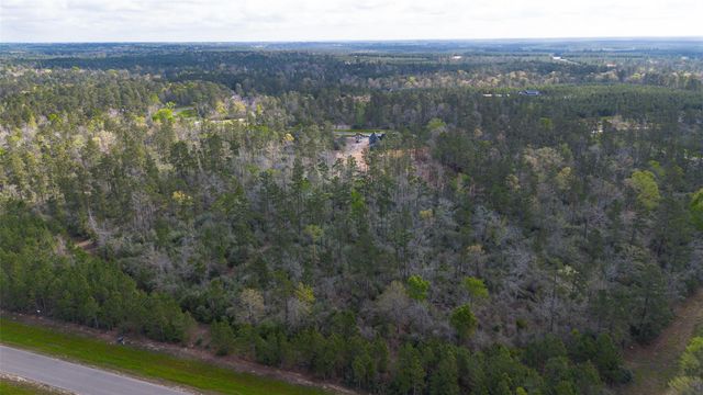 15982 Wood Grove Way, Willis, TX 77378