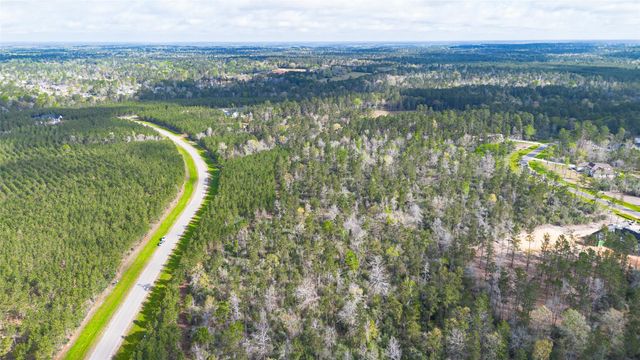 15982 Wood Grove Way, Willis, TX 77378