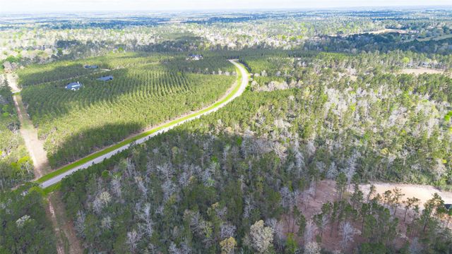 15982 Wood Grove Way, Willis, TX 77378