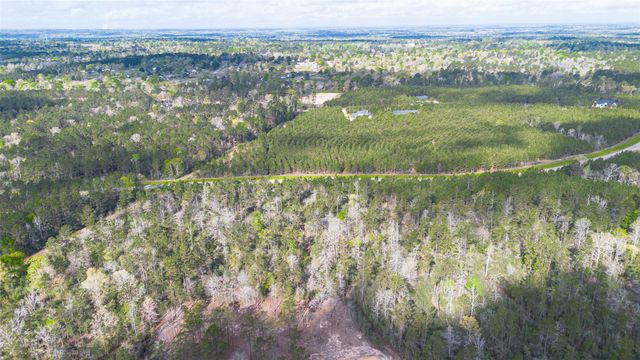 15982 Wood Grove Way, Willis, TX 77378