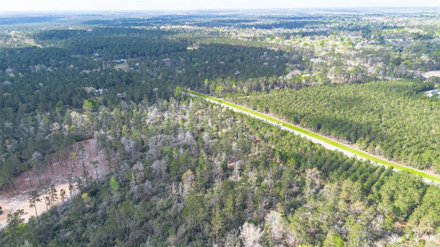 15982 Wood Grove Way, Willis, TX 77378