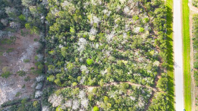 15982 Wood Grove Way, Willis, TX 77378