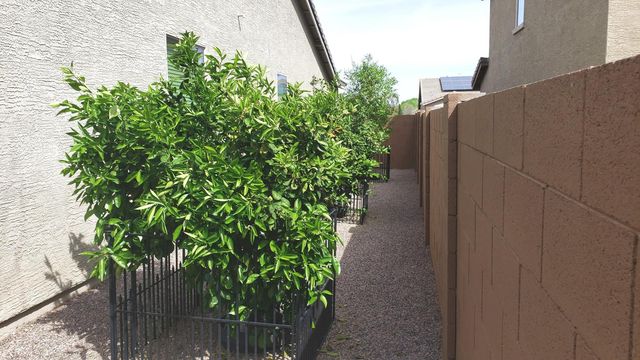 1911 W Half Moon Circle, San Tan Valley, AZ 85144