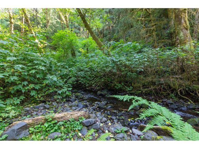 6600 Schoolhouse Rd, Neskowin, OR 97149