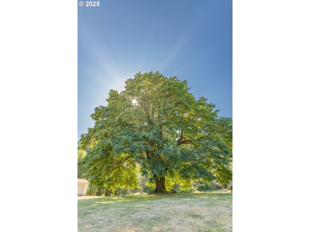 53856 BIG CREEK Rd, Myrtle Point, OR 97458