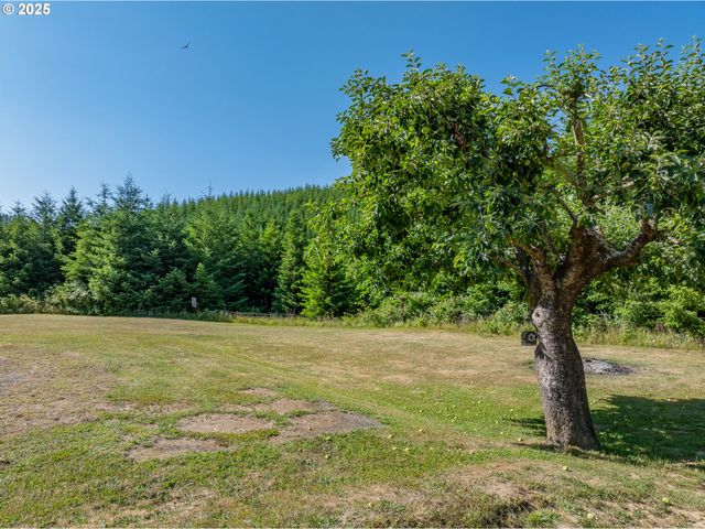 53856 BIG CREEK Rd, Myrtle Point, OR 97458