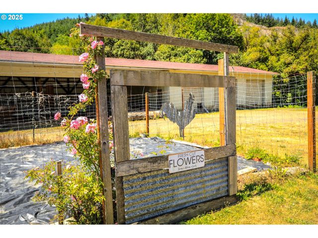 53856 BIG CREEK Rd, Myrtle Point, OR 97458