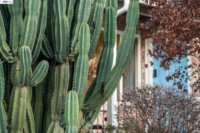 21330 TYEE STREET, Castro Valley, CA 94546