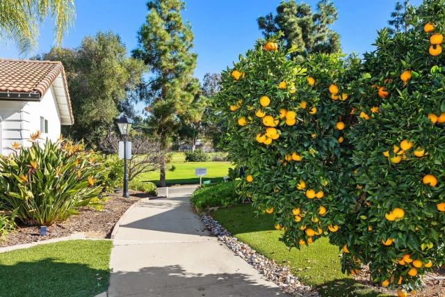 12039 Caminito Cadena, San Diego, CA 92128