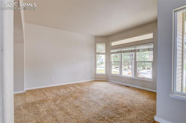 210 Cliff Falls Court, Colorado Springs, CO 80919