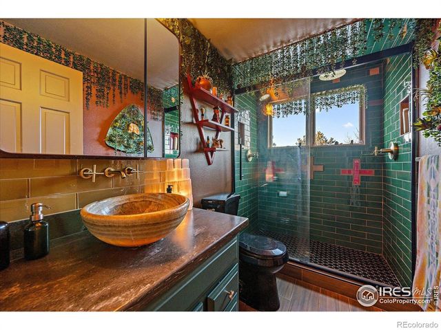 172 Saint Vrain Trail, Ward, CO 80481