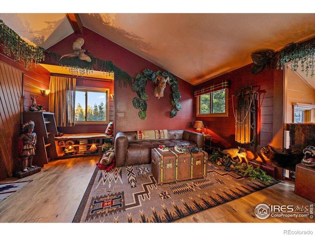 172 Saint Vrain Trail, Ward, CO 80481