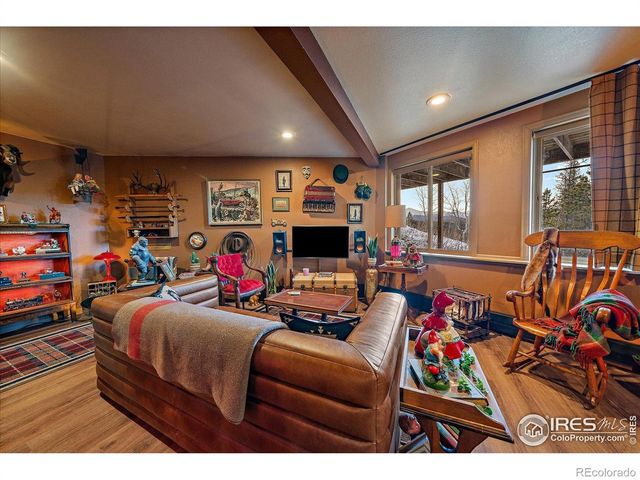 172 Saint Vrain Trail, Ward, CO 80481