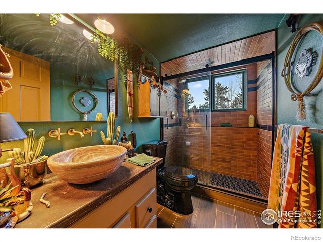 172 Saint Vrain Trail, Ward, CO 80481